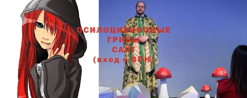 Псилоцибиновые грибы MAGIC MUSHROOMS  гидра ССЫЛКА  Алзамай 